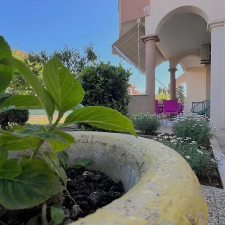 Apartment Apartments Villa Rotim Zadar