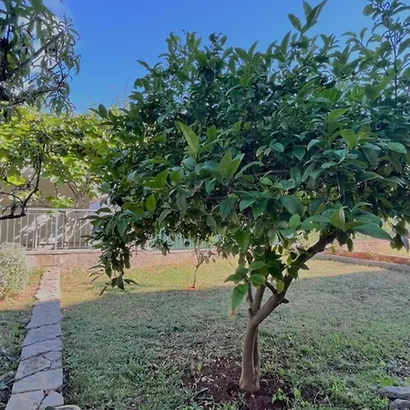 Apartments Villa Rotim Zadar