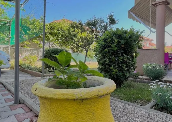 Apartments Villa Rotim Daire Zadar